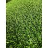 Artificial Grass Turf - 6FTx10FT, 0.8" Fake Grass Astro Turf for Dogs & Patio, Indoor/Outdoor Carpet
